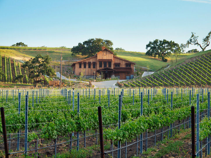 Foxen Vineyards
